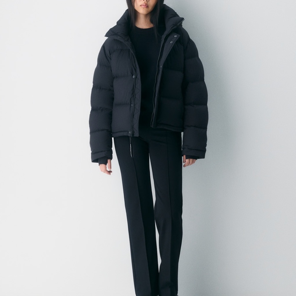 Aritzia Black Puffer Jacket